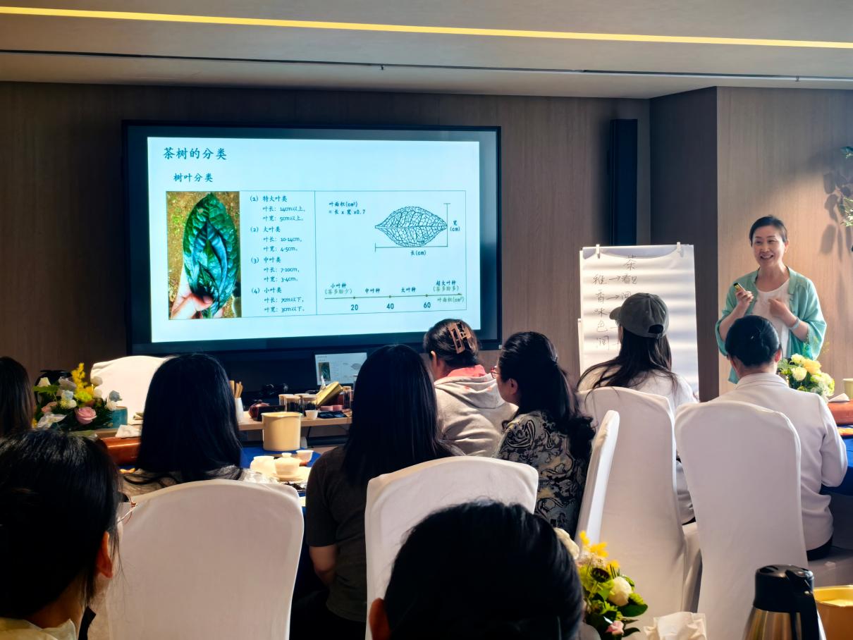 乐鱼leyu体育官方网站官方登录